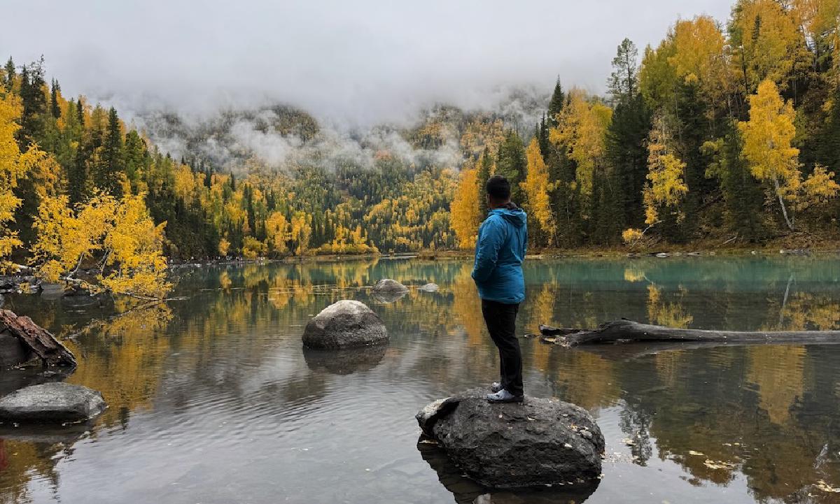 2025 年度总结:转折性的一年