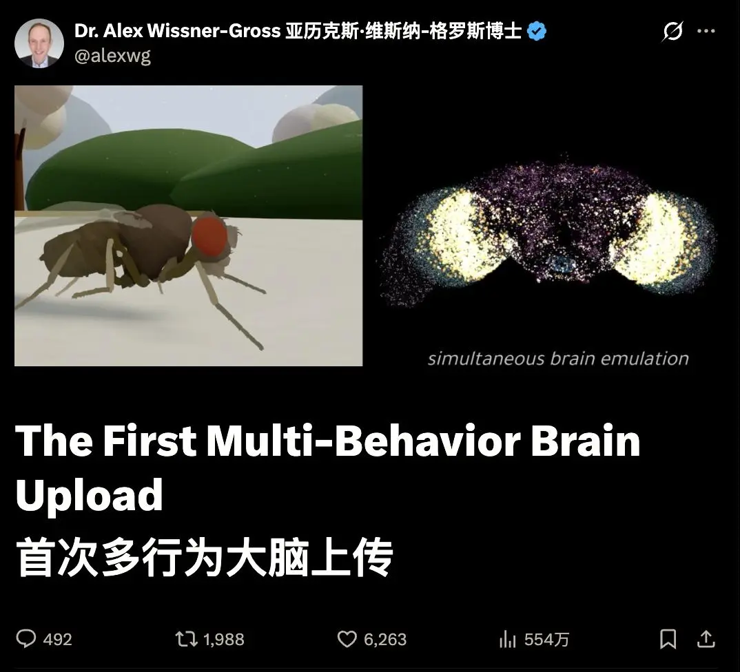 数字果蝇的虚拟身体示意