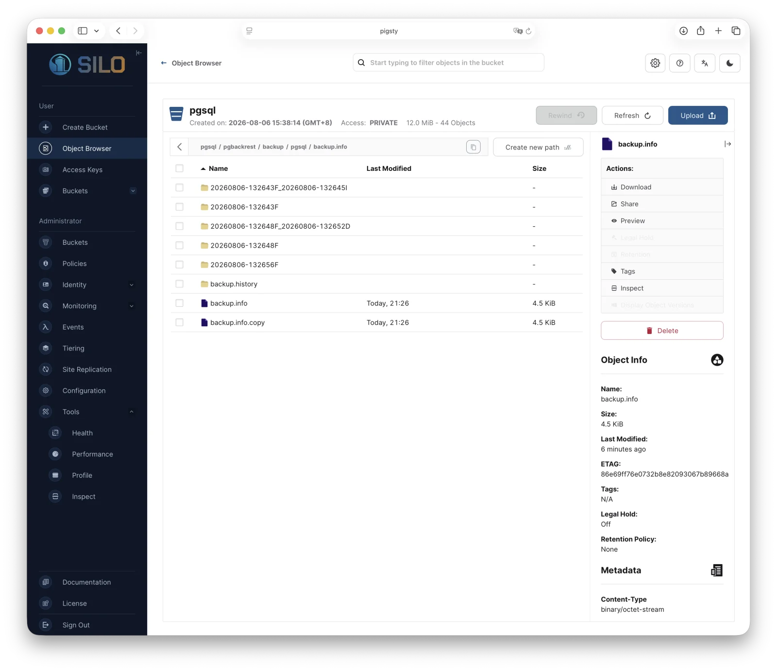 Silo object browser