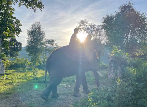 2023年度总结：三十而立