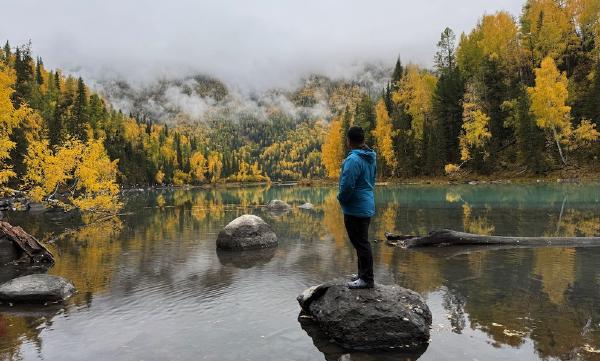 2025 年度总结：转折性的一年